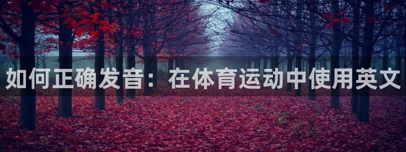3377体育官方app下载