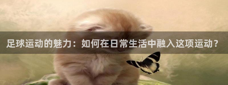 3377体育官方app下载