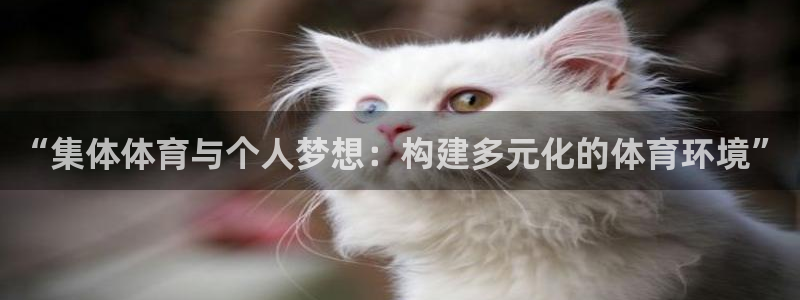 3377体育在线登录官网入口