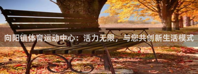 3377体育官网入口下载最新：向阳镇体育运动中心：活力无限，与您共创新生活模式