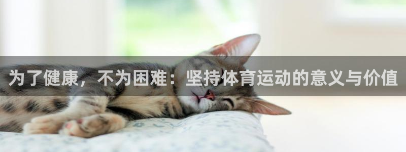 3377体育官网入口下载最新