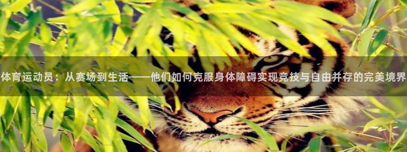 3377体育官方app下载