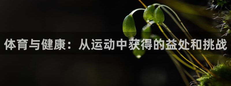3377体育app下载安装