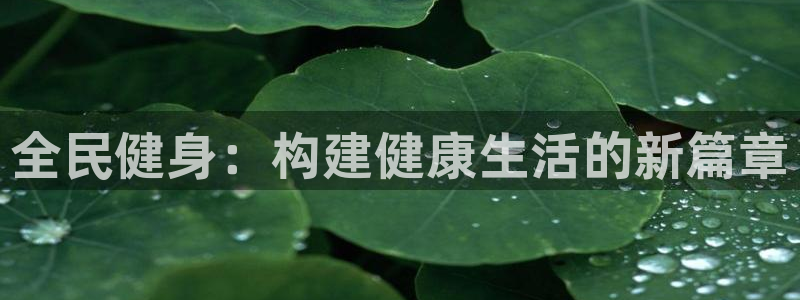 3377体育app下载安装