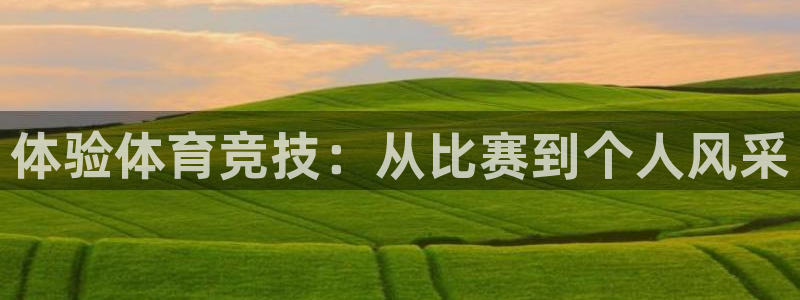 3377体育官网：体验体育竞技：从比赛到个人风采