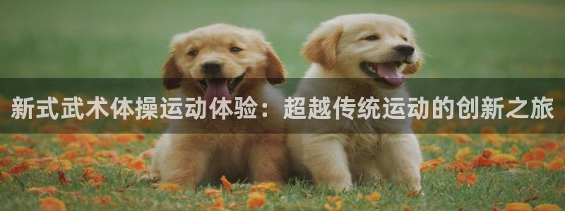 3377体育app下载安装：新式武术体操运动体验：超越传统运动的创新之旅