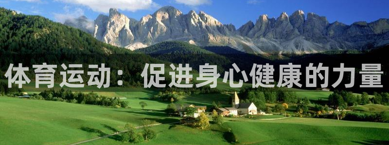 3377体育全网
